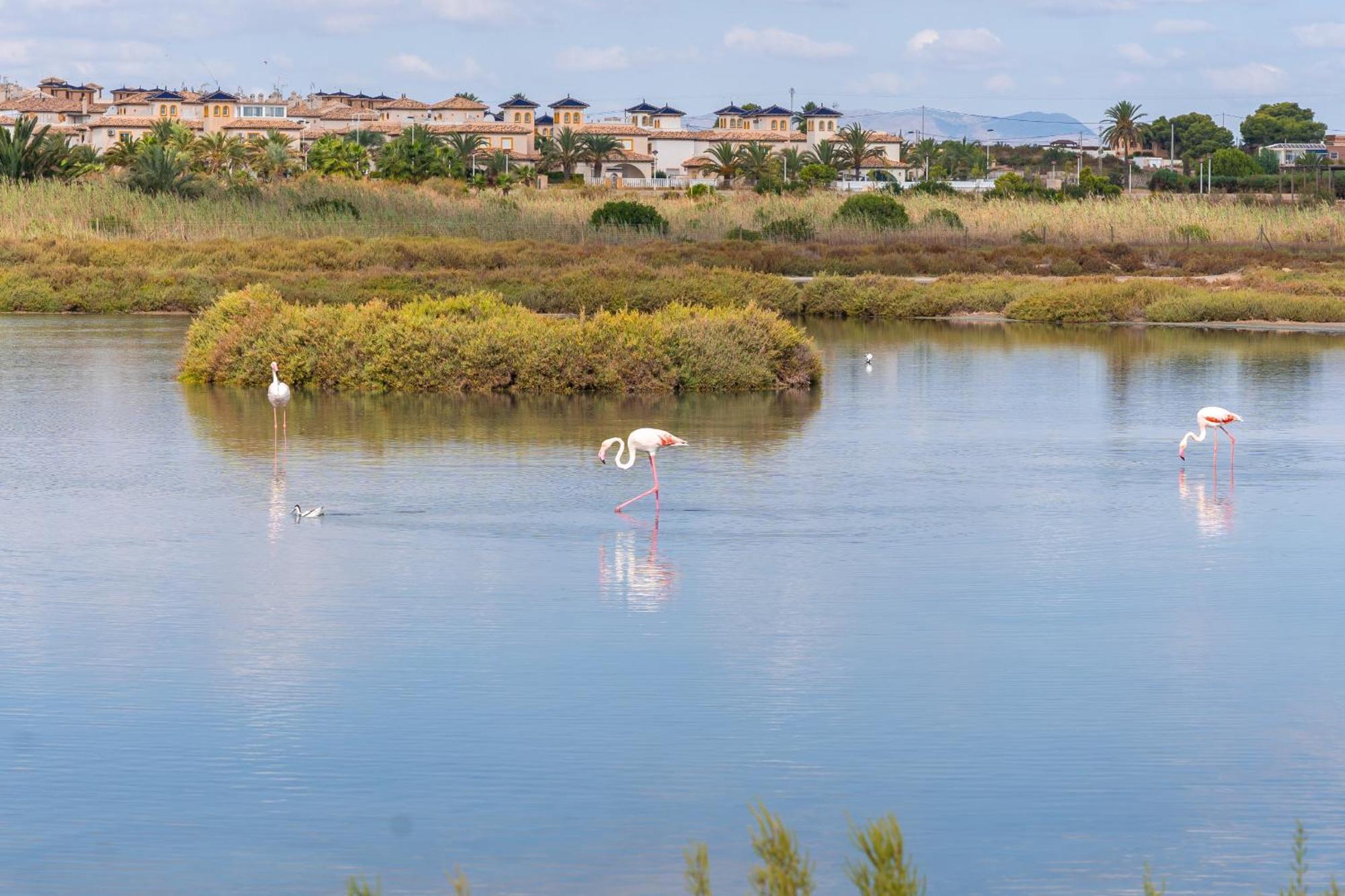 Menabrea Holiday House Near The Beach And Airport Santa Pola Bagian luar foto
